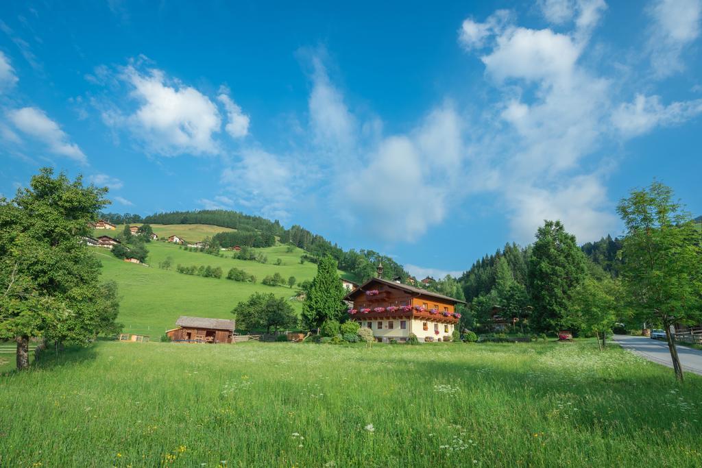 Bauernhof Auhof Appartement Wagrain