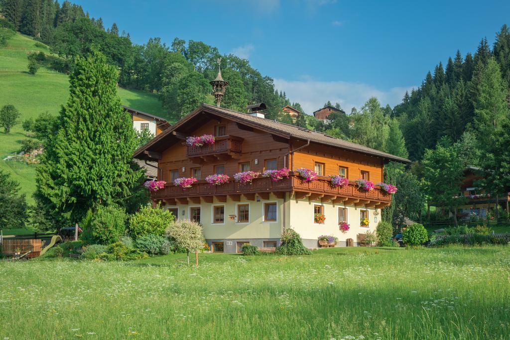 Bauernhof Auhof * Wagrain