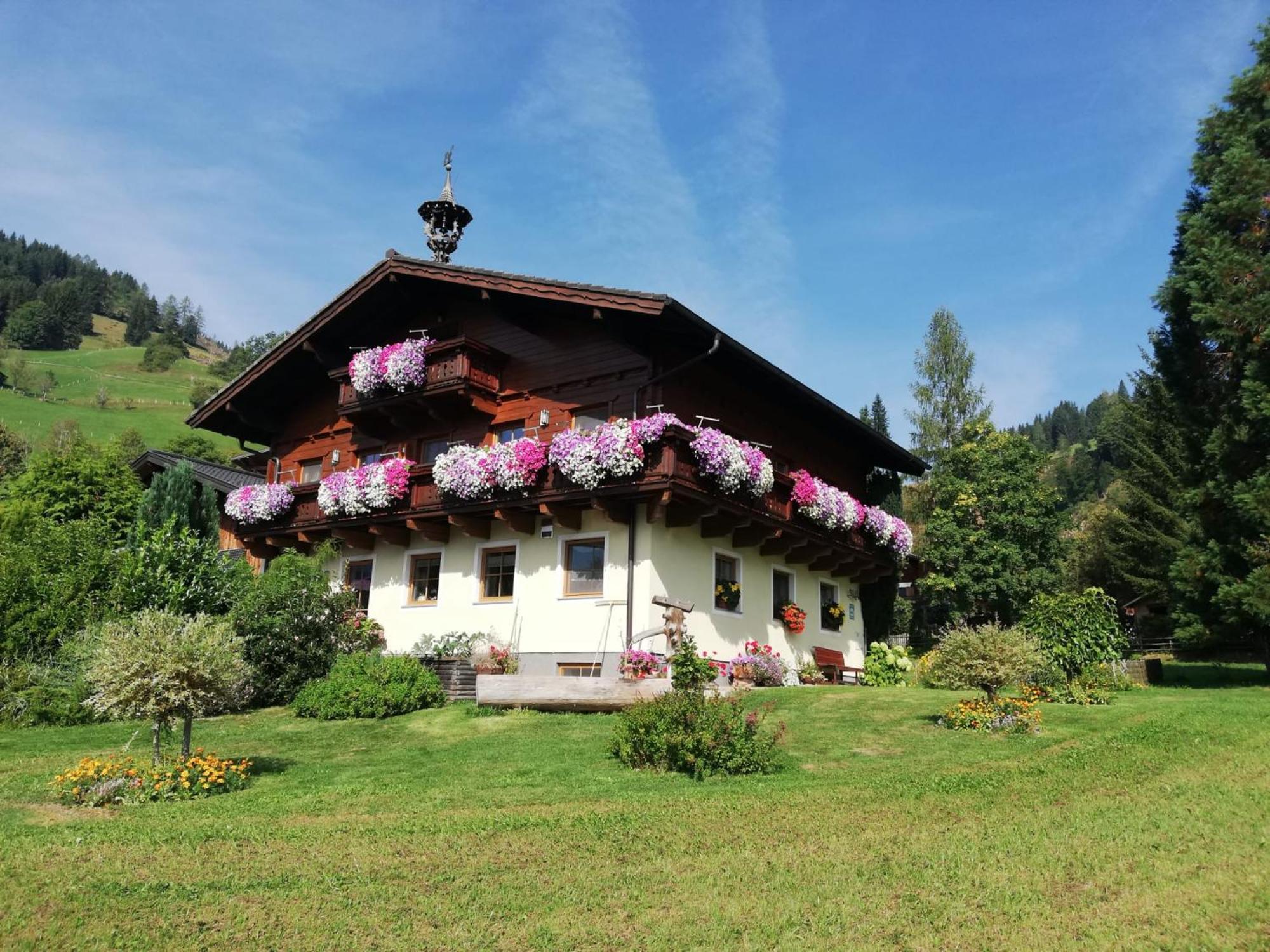 Bauernhof Auhof Appartement
